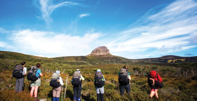 cradle mountain guided walks