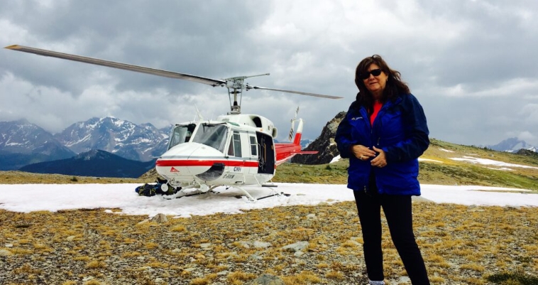 canadian mountain holidays heli hiking