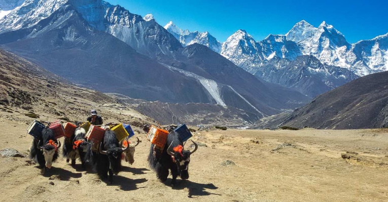 base camp everest trek