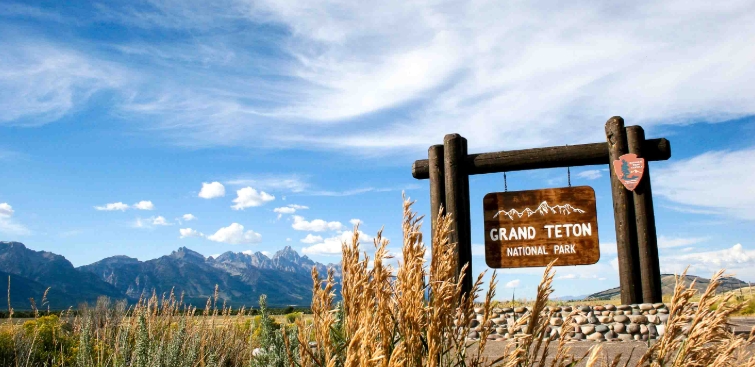 teton wilderness tours