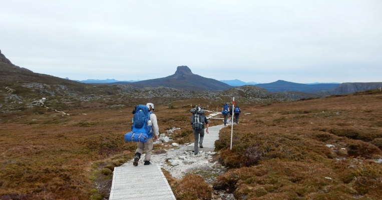 the overland track guided walk