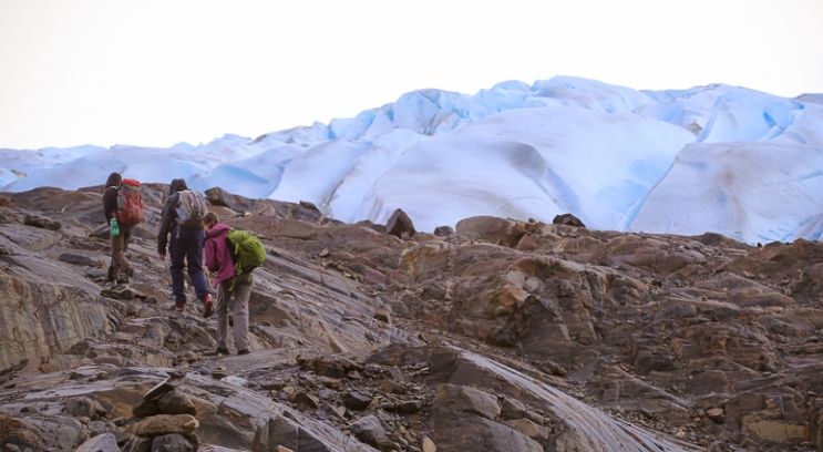 grey glacier hike