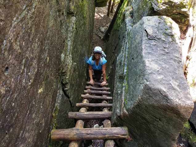 cup and saucer adventure trail