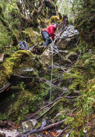 dusky track guided walk