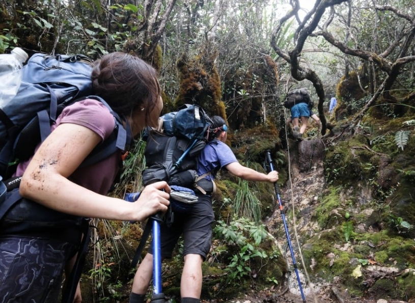 jungle trekking challenging