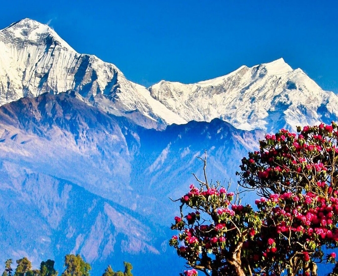 hiking himalayas treks & expedition