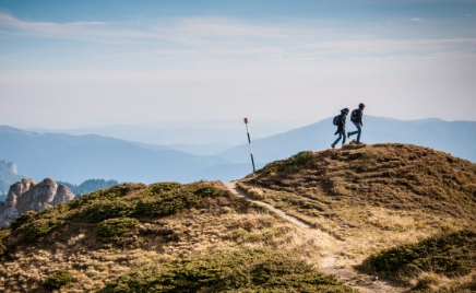 self guided walks blue mountains