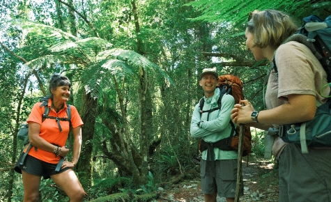 paparoa guided walks