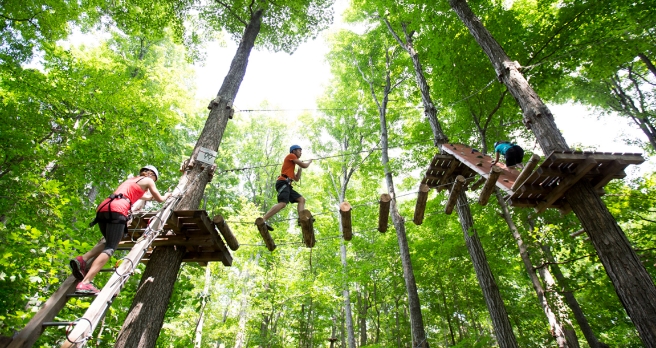 treetop hiking