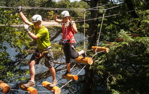 tree top trek near me