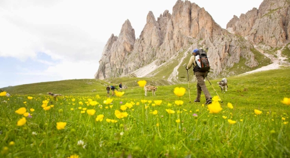 thru hikes around the world