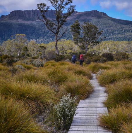 world expeditions overland track